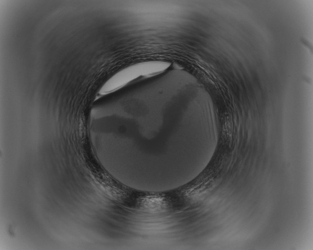 X0000095110651200801041201