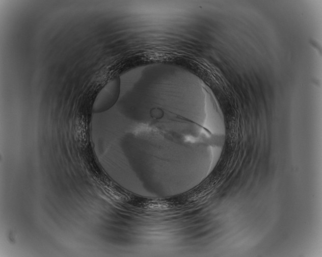 X0000095110653200801041201