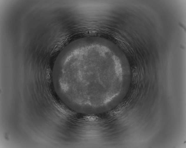 X0000095110654200801041201