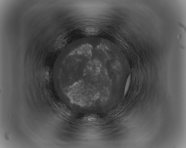 X0000095110655200801041201