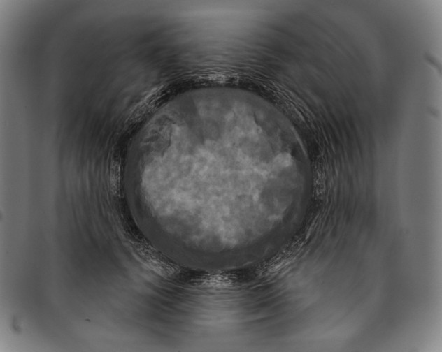 X0000095110656200801041201