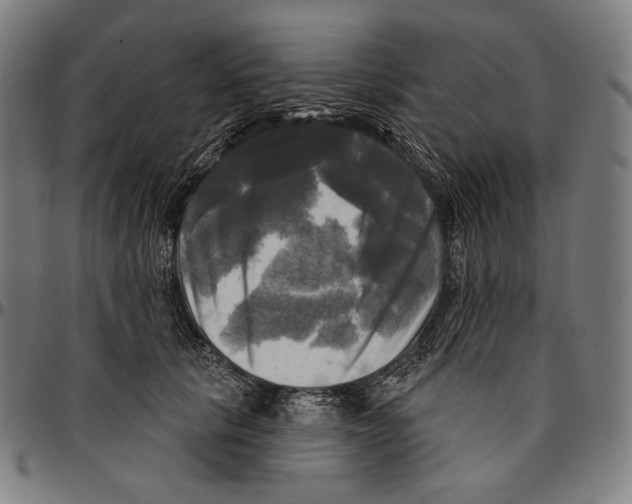 X0000095110657200801041201