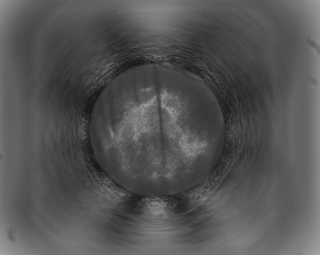 X0000095110658200801041201