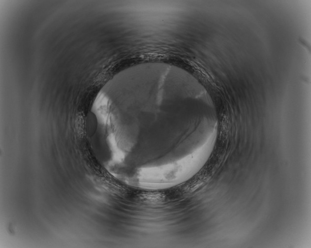 X0000095110659200801041201