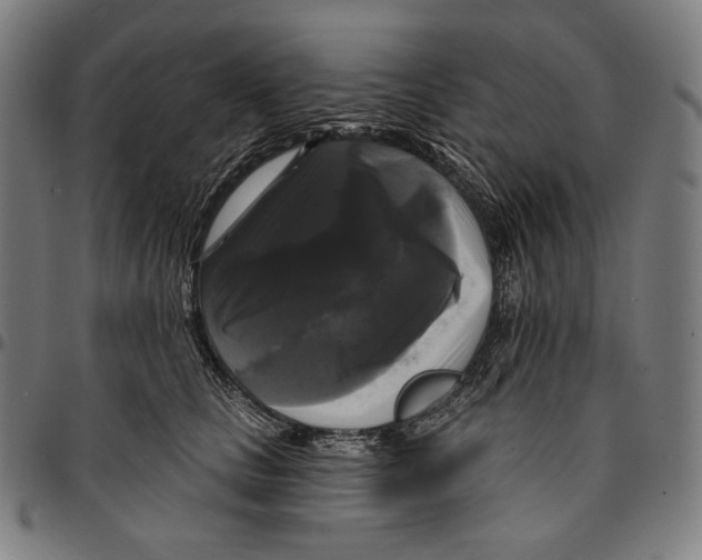 X0000095110661200801041201
