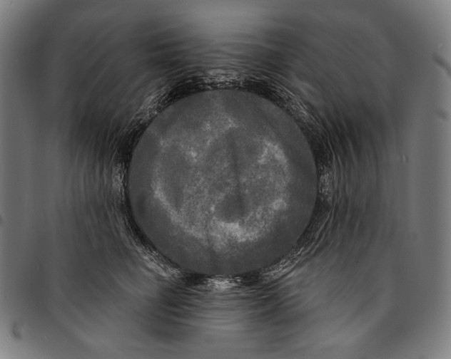X0000095110662200801041201