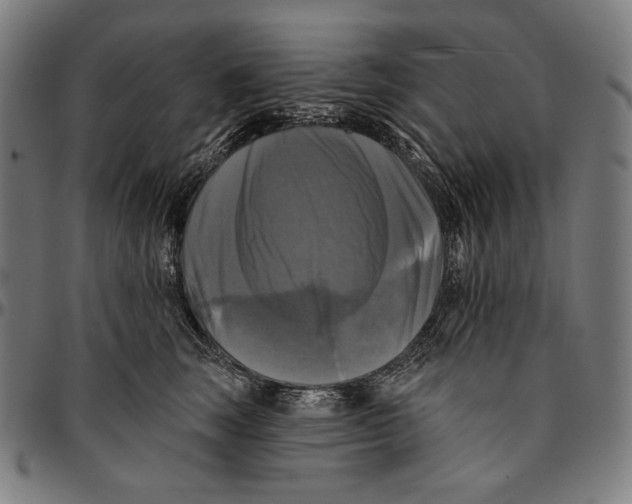 X0000095110663200801041201