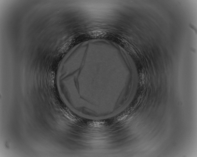 X0000095110664200801041201