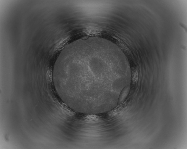 X0000095110666200801041201