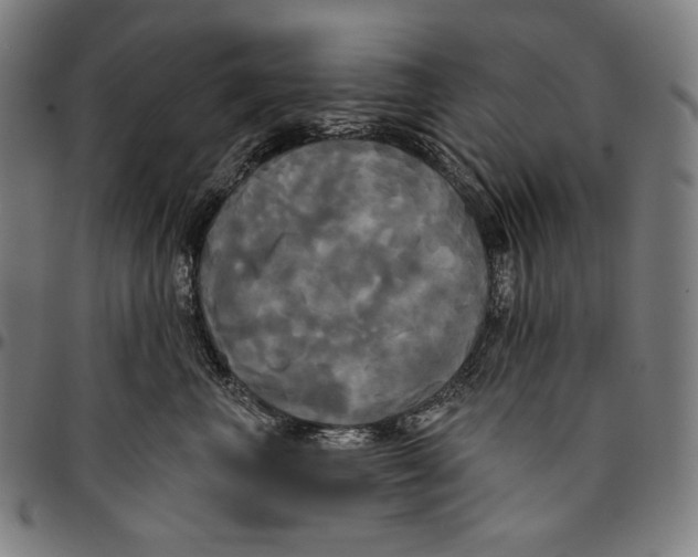 X0000095110667200801041201