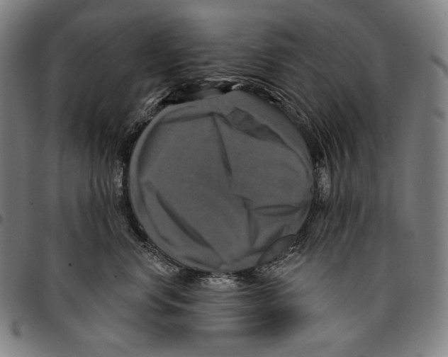 X0000095110668200801041201