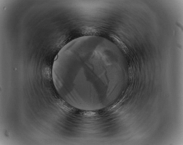 X0000095110669200801041201