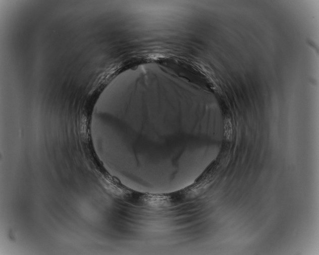 X0000095110670200801041201
