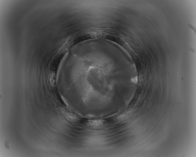 X0000095110671200801041201