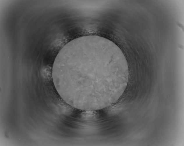 X0000095110672200801041201