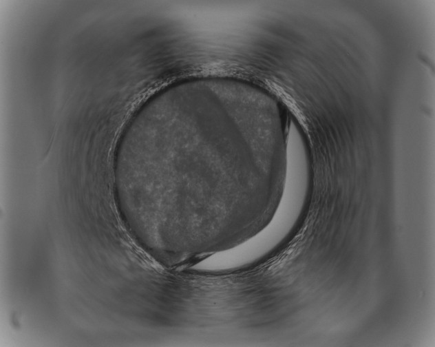 X0000095110673200801041201
