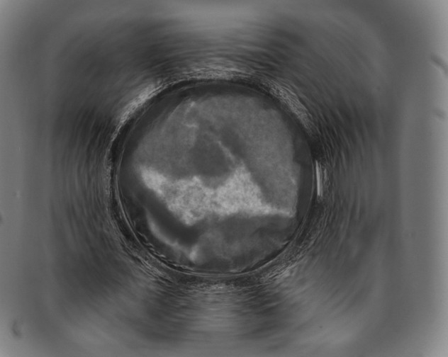 X0000095110675200801041201