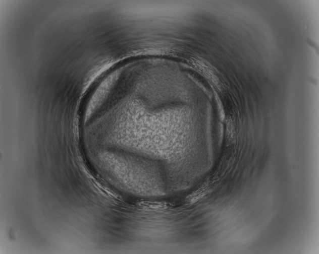 X0000095110676200801041200