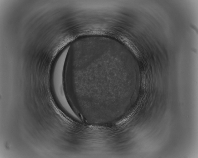 X0000095110677200801041200