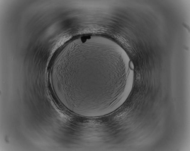 X0000095110678200801041200