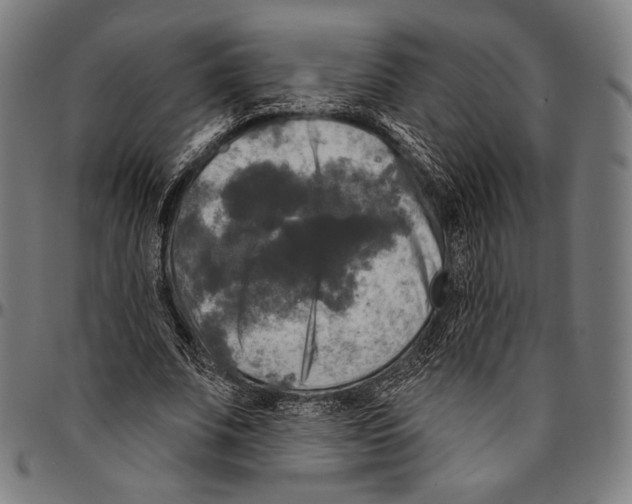 X0000095110679200801041200