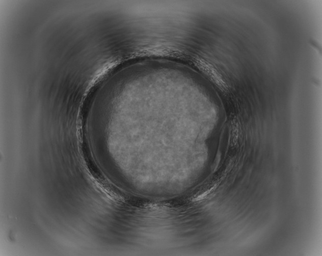 X0000095110680200801041200