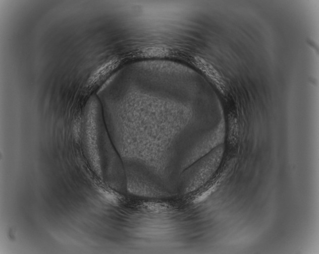 X0000095110681200801041200