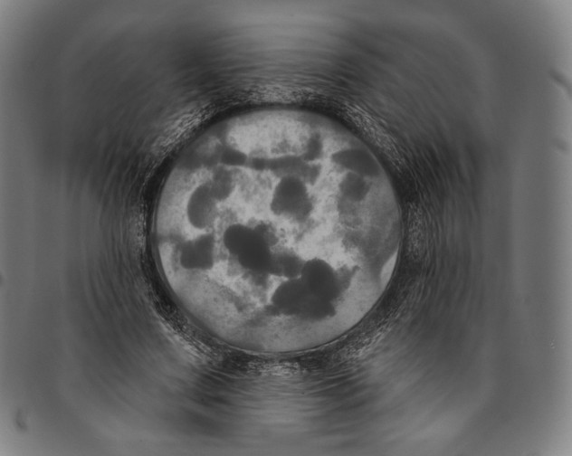 X0000095110683200801041200