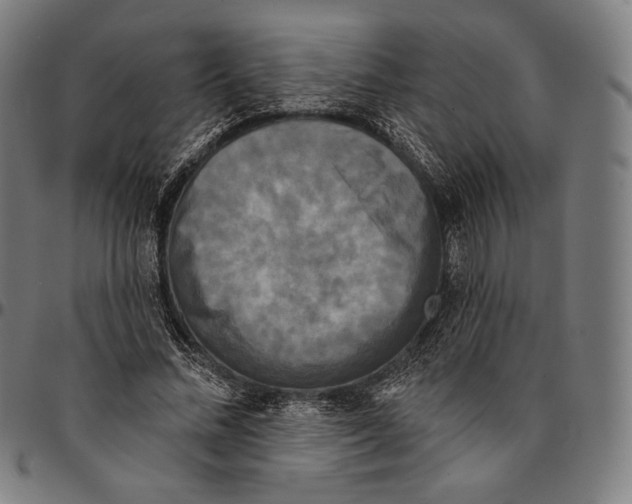 X0000095110684200801041200