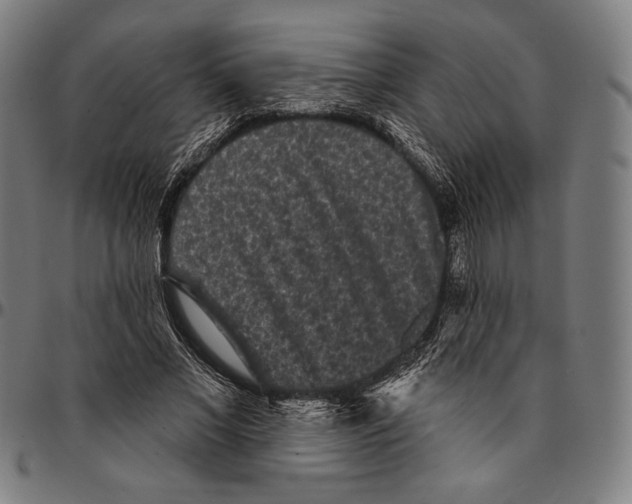 X0000095110685200801041200
