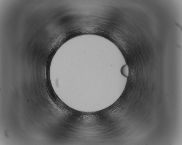 X0000095110686200801041200