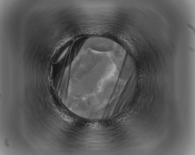 X0000095110688200801041200