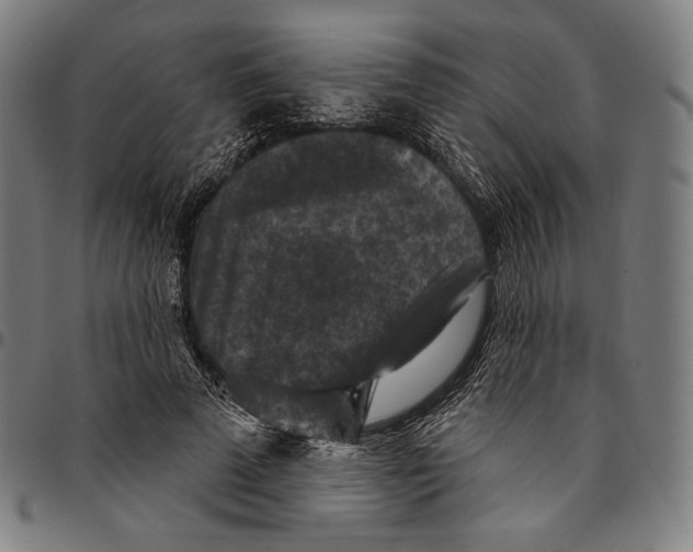 X0000095110689200801041200