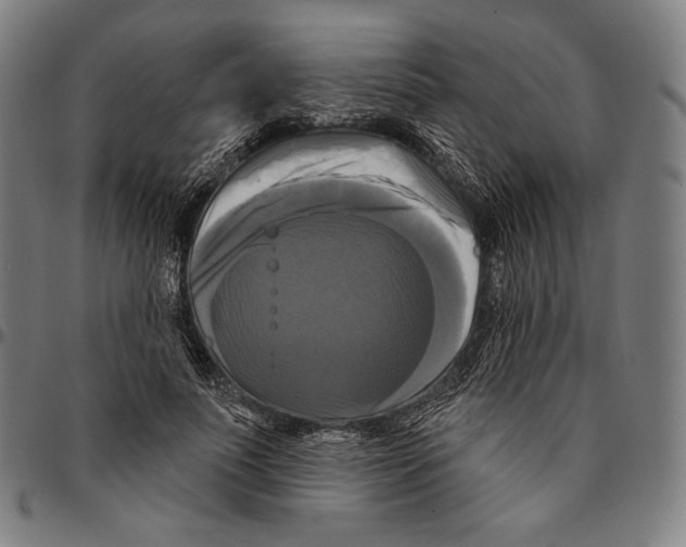 X0000095110691200801041200