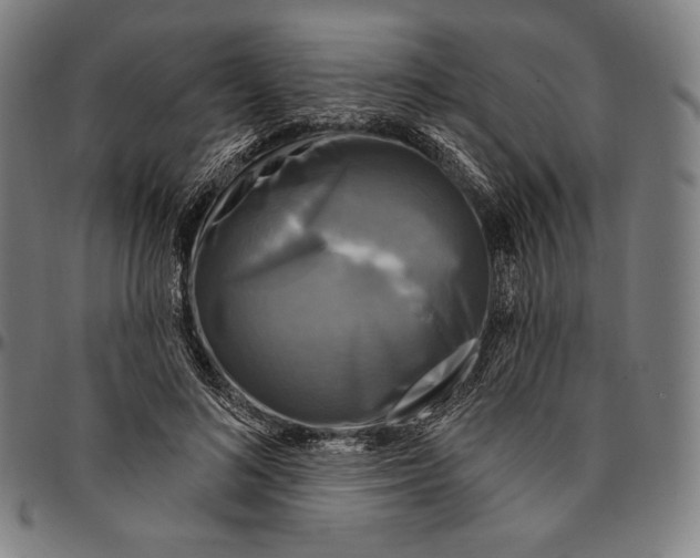 X0000095110692200801041200