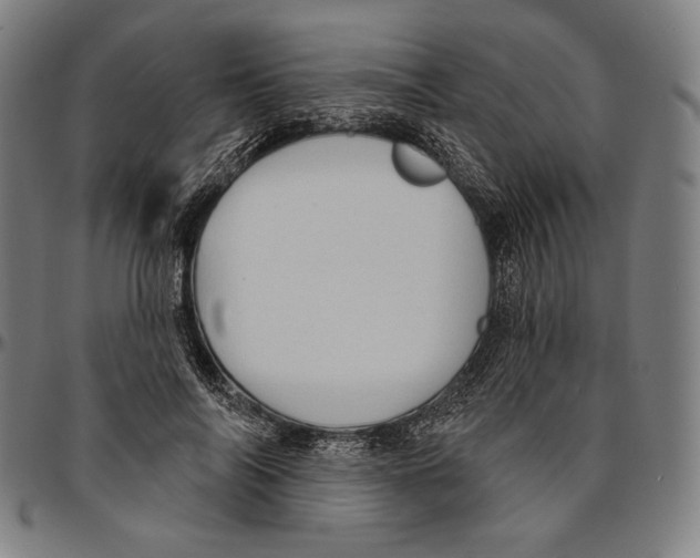 X0000095110694200801041200