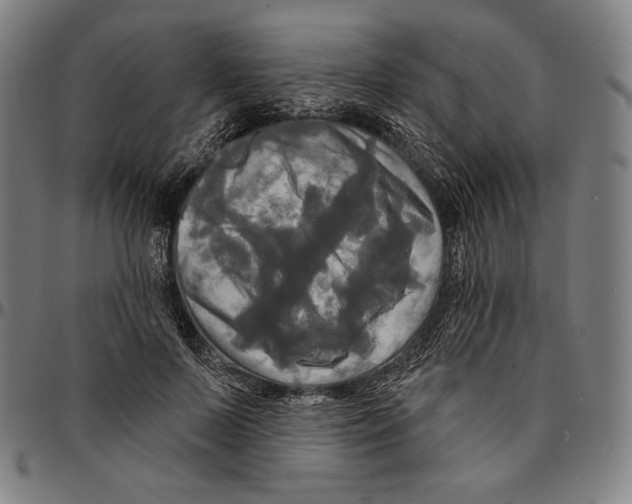 X0000095110695200801041200