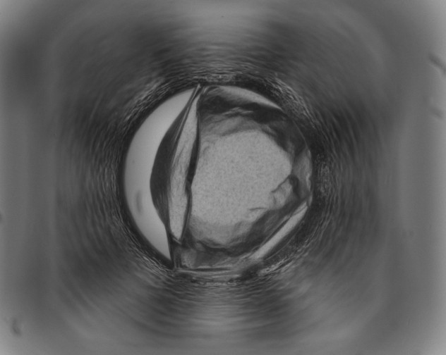 X0000095110697200801041200