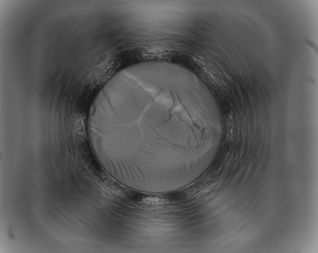 X0000095110699200801041200