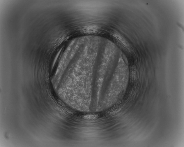 X0000095110700200801041200