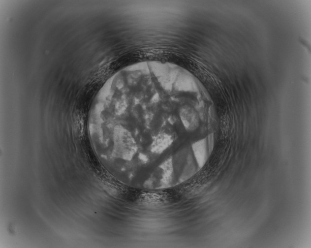 X0000095110703200801041200