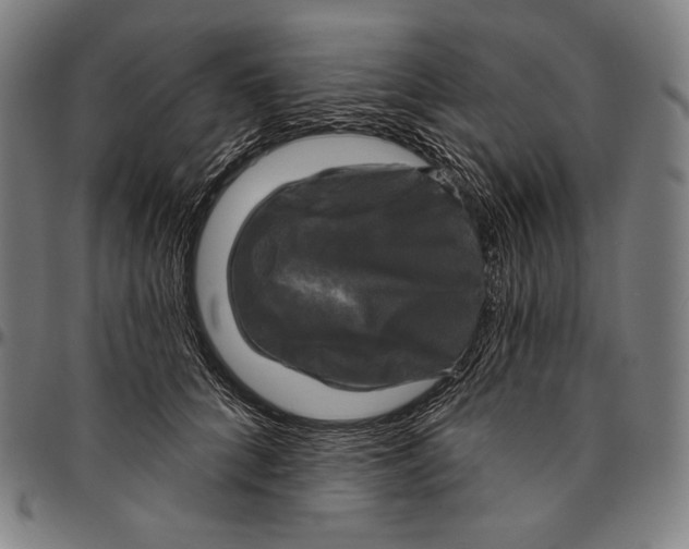 X0000095110704200801041200