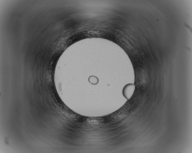 X0000095110706200801041200