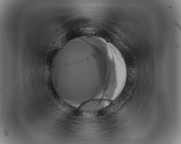 X0000095110707200801041200