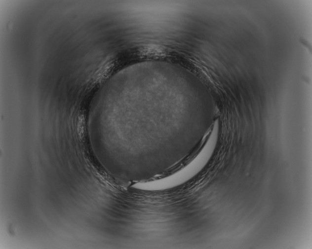 X0000095110708200801041200