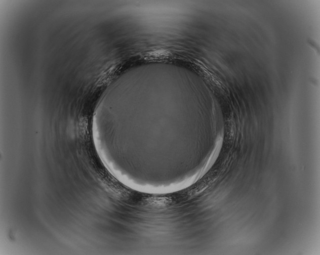 X0000095110711200801041200