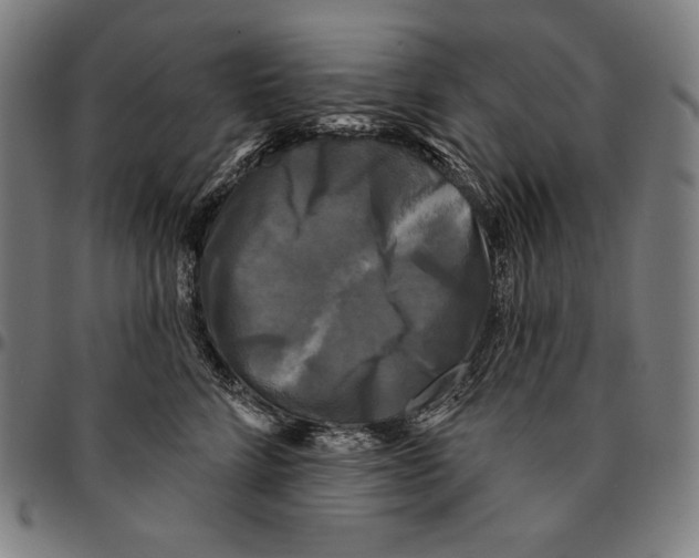 X0000095110712200801041200