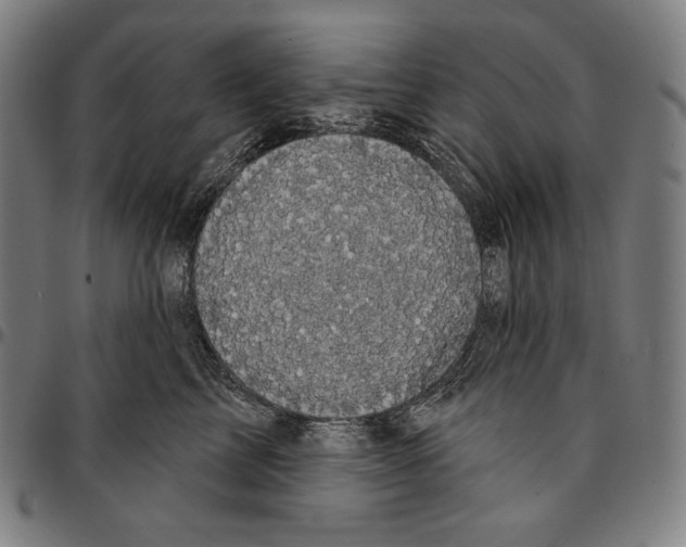 X0000095110713200801041200