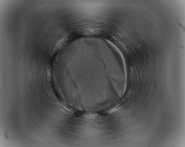 X0000095110716200801041200