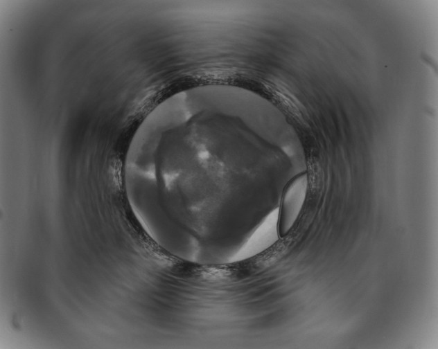 X0000095110718200801041200